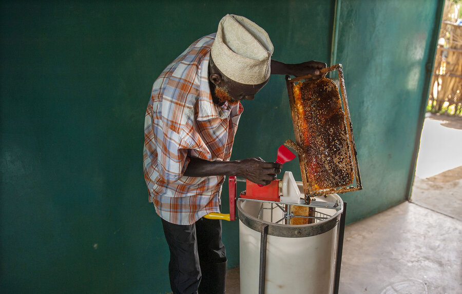 World bee day The honey collective abuzz with plans in Kenya World
